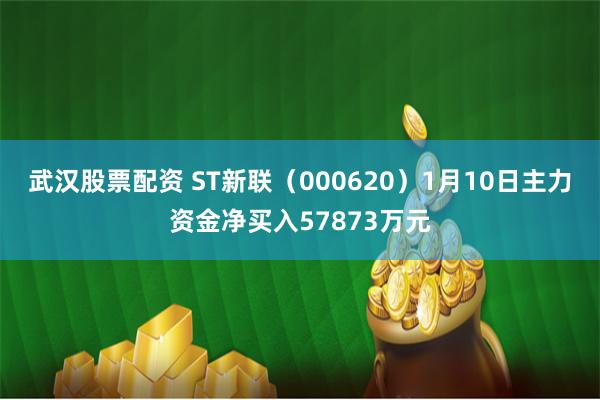武汉股票配资 ST新联（000620）1月10日主力资金净买入57873万元