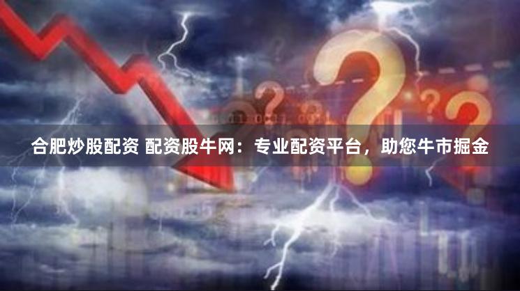 合肥炒股配资 配资股牛网：专业配资平台，助您牛市掘金